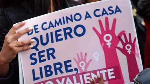 'Si las mujeres paramos, se para el mundo' 12