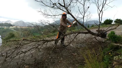 T&eacute;cnico de Obimasa