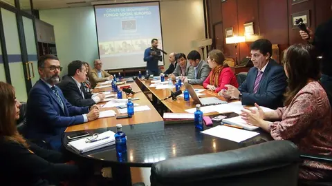 comit&eacute; seguimiento fondo social europeo fse