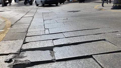 paseo palmeras suelo 2