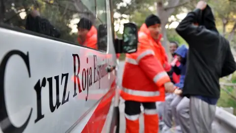 cruz roja migrantes