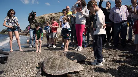 Suelta de tortugas 3
