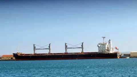 sam lion puerto