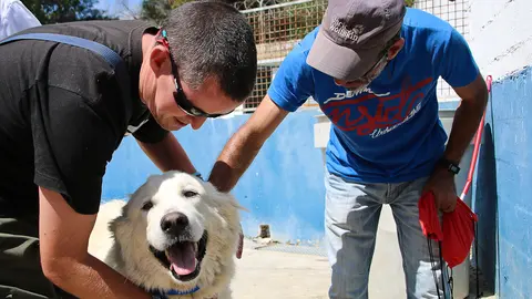 Plena Inclusi&oacute;n reparte cari&ntilde;o en la Protectora de Animales (23 de 38)