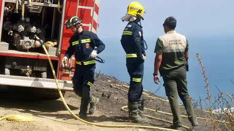 bomberos brigada forestal