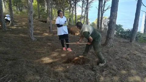 caballas se tira al monte (a limpiarlo) (5 de 16)