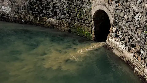 Vertido en el foso de las Murallas Reales 2