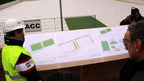 vivas pr&iacute;ncipe c&eacute;sped campos 2