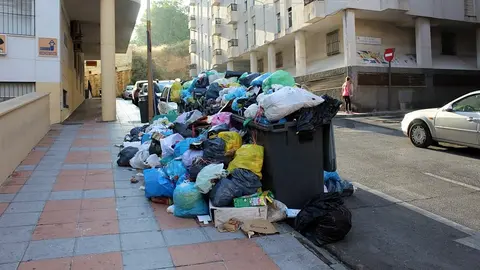 basura contenedor 2