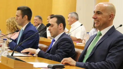 vox pleno