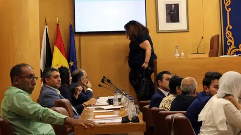 cristina p&eacute;rez psoe