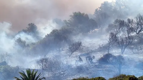 incendio calamocarro 3
