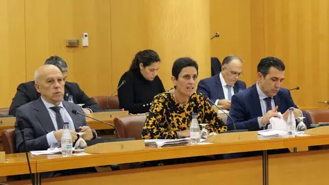 chandiramani pleno