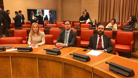 Teresa L&oacute;pez posa en una de las comisiones parlamentarias