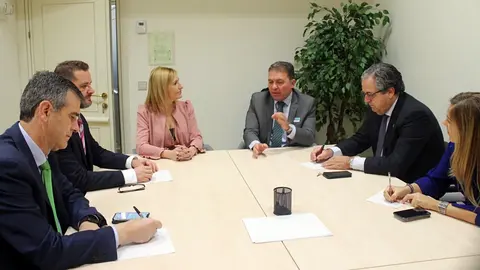 roviralta senado