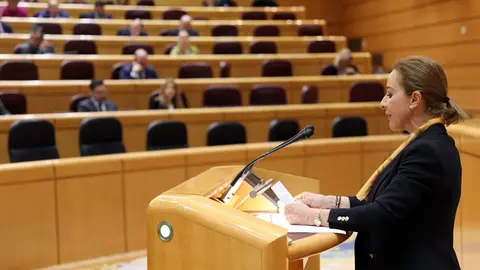 yolanda merelo vox senado