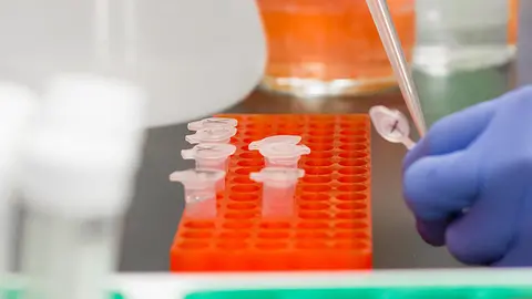 Test de coronavirus en laboratorio. Archivo