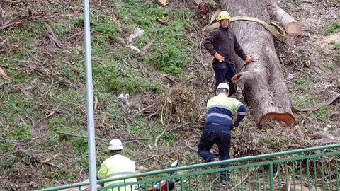 obras trabajadores