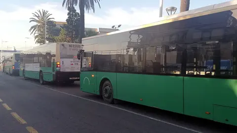 autobuses