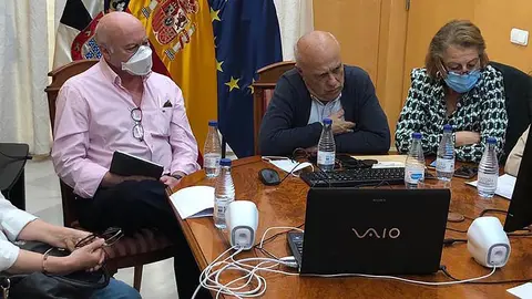 Reunion_telematica_Sanidad