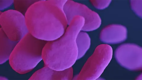 Coronavirus COVID-19