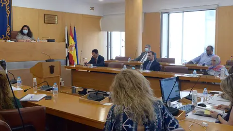 Sesi&oacute;n plenaria