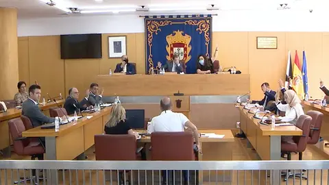 Votaci&oacute;n del punto en la sesi&oacute;n plenaria