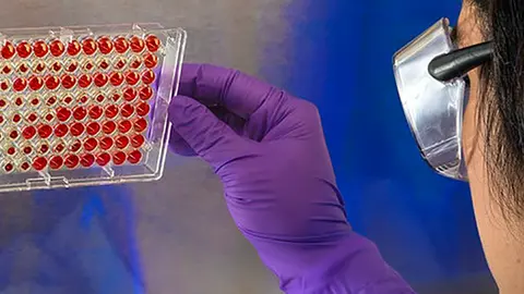 Laboratorio COVID19 Imagen de recurso
