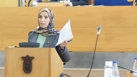 F&aacute;tima Hamed, durante el transcurso de una sesi&oacute;n plenaria