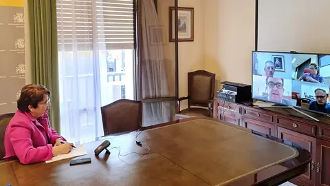 delegada mateos videoconferencia