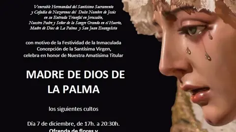 pollinica 2020 inmaculada