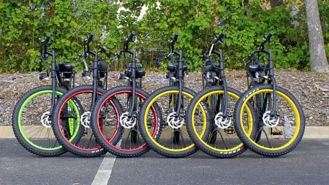 bicis el&eacute;ctricas