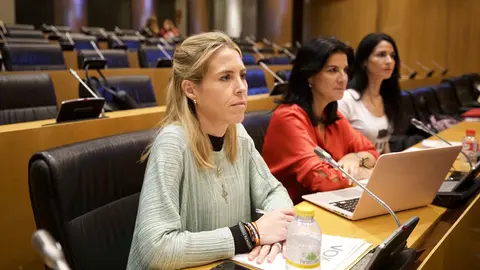 Teresa L&oacute;pez en el Congreso de los Diputados