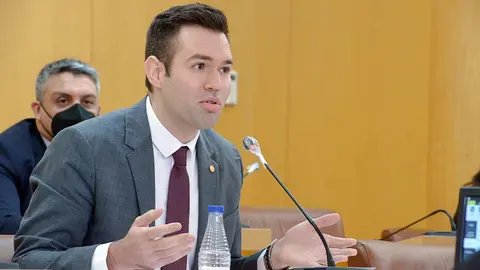 Carlos Verdejo (VOX), durante una intervenci&oacute;n plenaria
