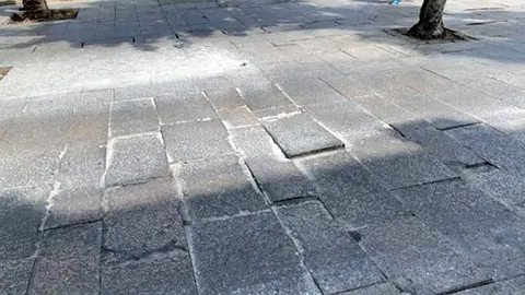 paseo palmeras
