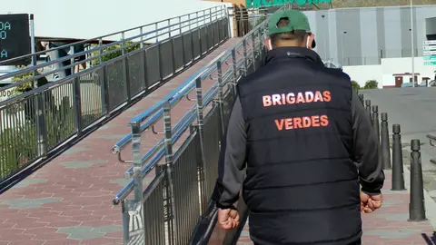 brigadas verdes
