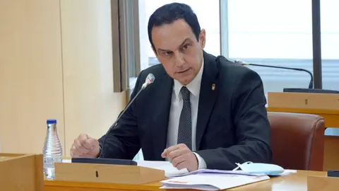 manuel hern&aacute;ndez pleno