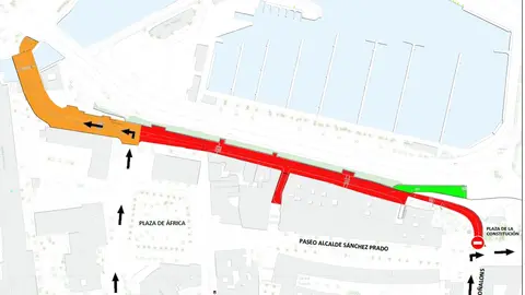 obra paseo palmeras