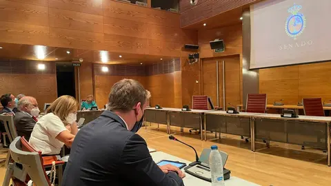 bulaix senado 2