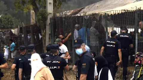 POlic&iacute;a interviene venta corderos