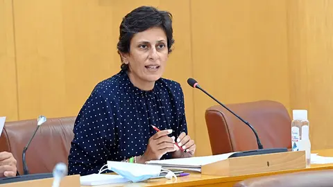chandiramani pleno