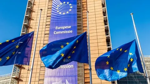 comisi&oacute;n europea
