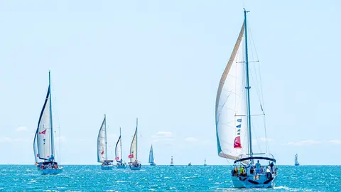 vela regata
