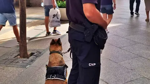 Gu&iacute;as caninos Polic&iacute;a Nacional 0953