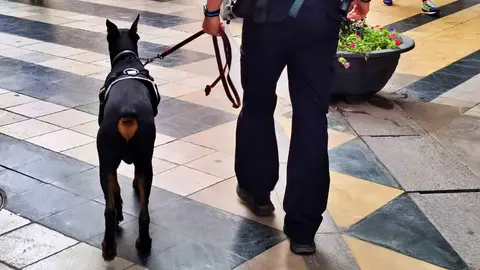 Gu&iacute;as caninos Polic&iacute;a Nacional 1507