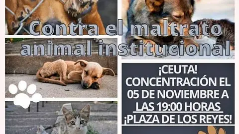 movilizaci&oacute;n animalista