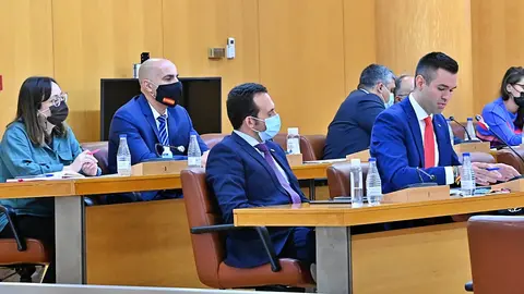 vox diputados