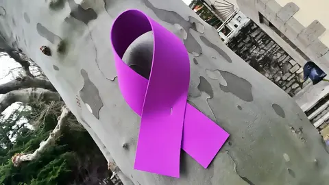 feminismo lazo violencia g&eacute;nero