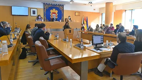 pleno violencia g&eacute;nero