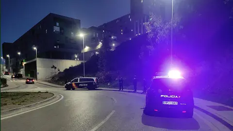 Control de la Polic&iacute;a Nacional en los aleda&ntilde;os de El Pr&iacute;ncipe
